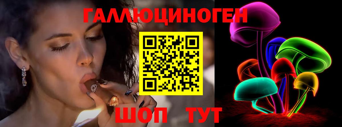 Галлюциногенные грибы Psilocybe Заринск