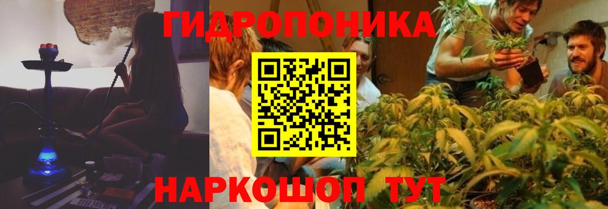 Бошки Шишки планчик  МАРИХУАНА тримм  Вход с VPN  Канабис White Widow  Заринск 